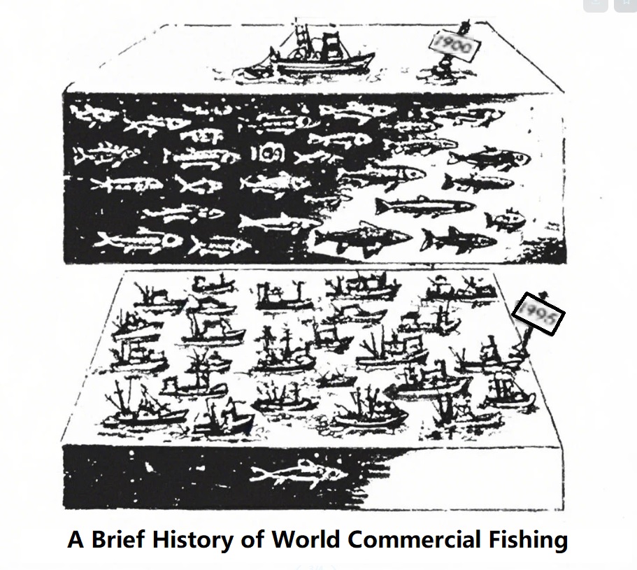 这幅图像描绘了一幅名为“A Brief History of World Commercial Fishing”的视觉比较