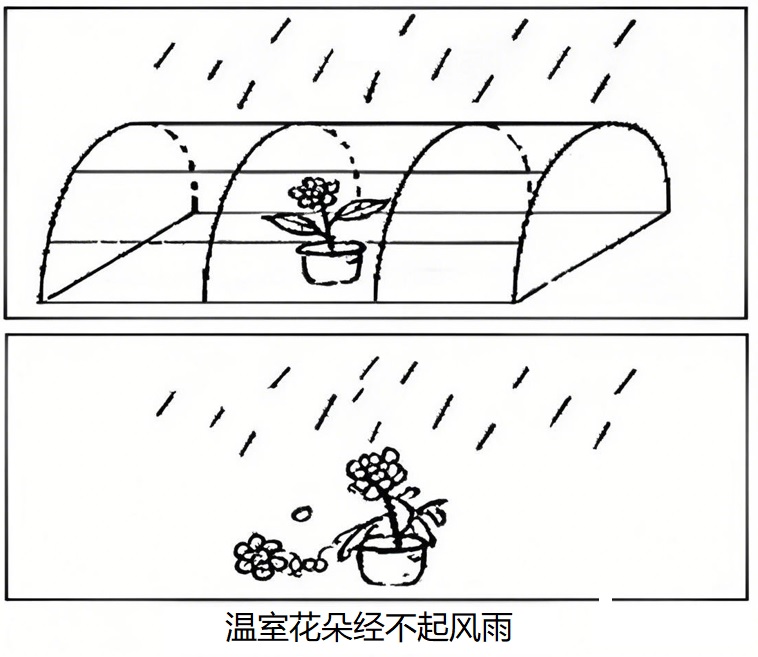 这是一幅黑白漫画，包含上下两幅图和一个标题